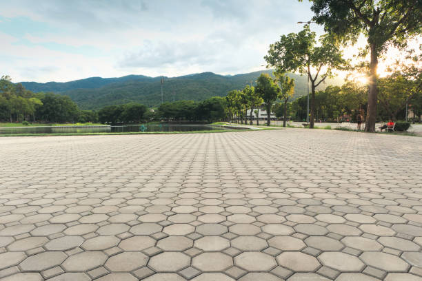 Best Driveway Pavers Contractor  in Occoquan, VA