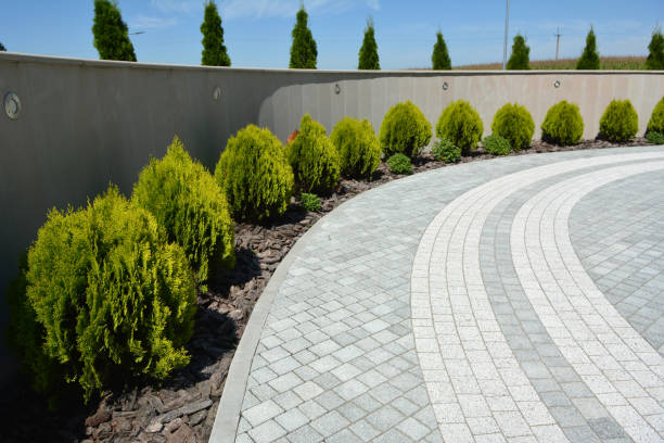 Best Residential Paver Driveway  in Occoquan, VA